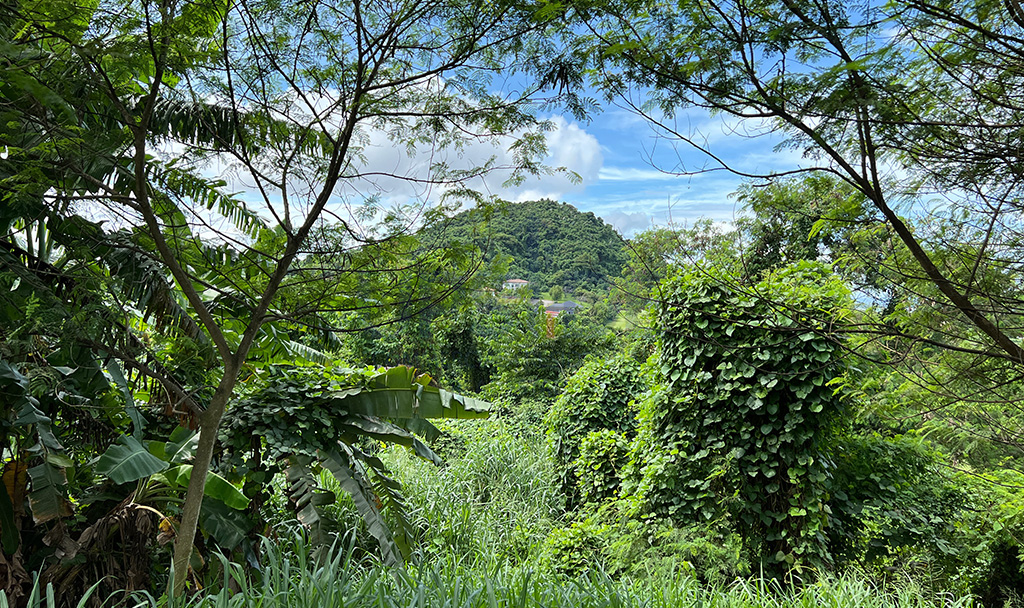 Ayala Greenfield Estates Fairway View Lot for Sale