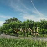 Riomonte Logo