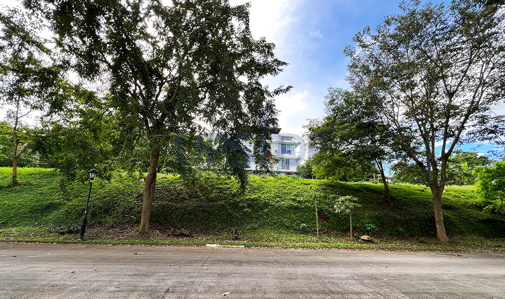 Ayala Greenfield Estates Phase 1 Lot with a view for sale