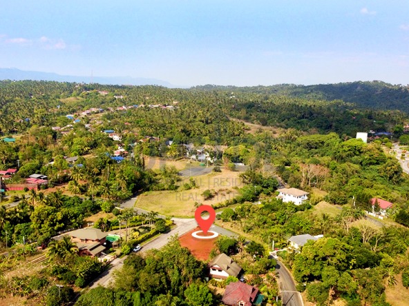 Leisure Farms Lemery Batangas Farm Lot for Sale
