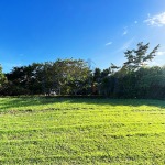 Venare Nuvali Lot For Sale Backing Main Amenity Area