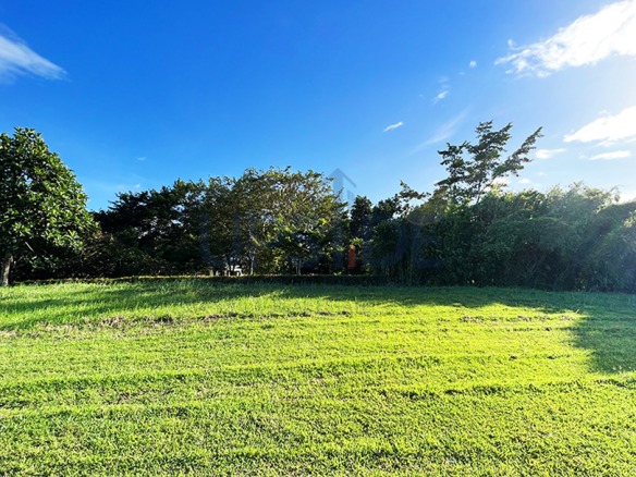 Venare Nuvali Lot For Sale Backing Main Amenity Area