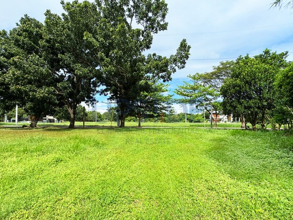 Manila Southwoods Lot for Sale Near the Gate