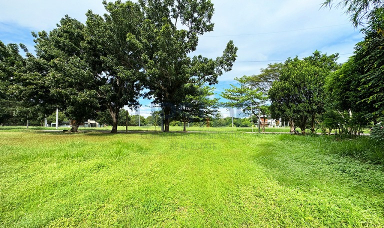 Manila Southwoods Lot for Sale Near the Gate