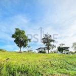 Pahara Southwoods Lot for Sale