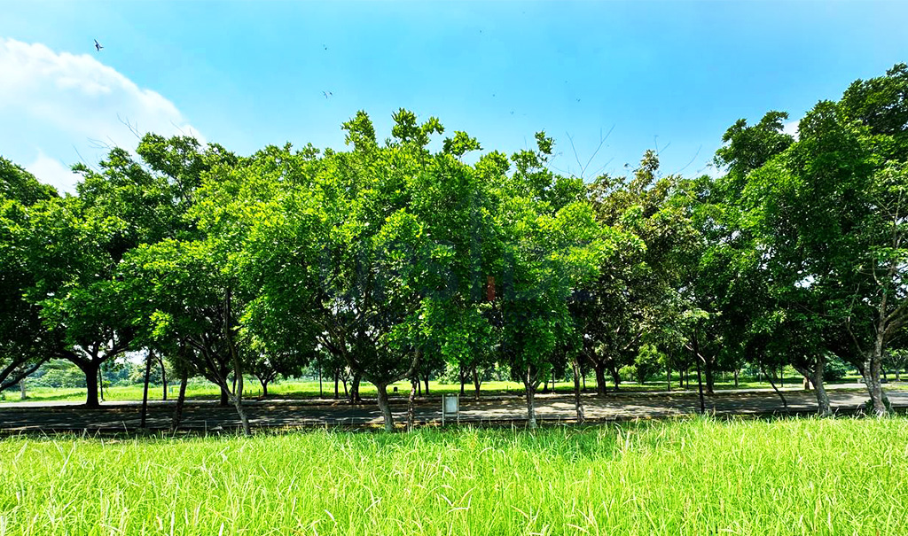 Abrio Nuvali Lot for Sale