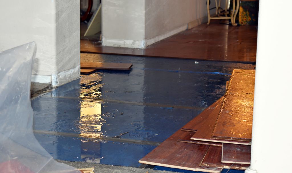 How to Clean Your House After a Flood