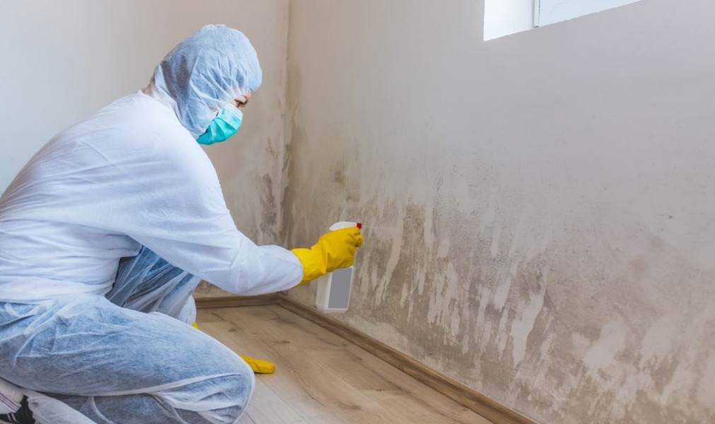 How to Clean Your House After a Flood - UpsidePH