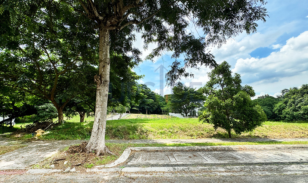 Ayala Westgrove Heights Corner Lot for Sale