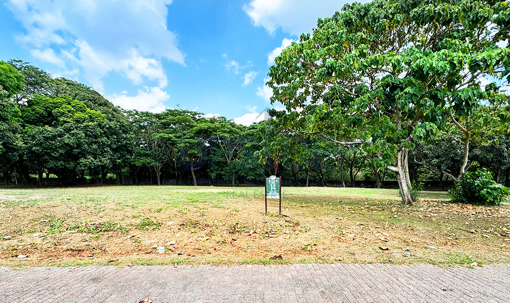 Elaro Nuvali Aviary Estates Lot For Sale