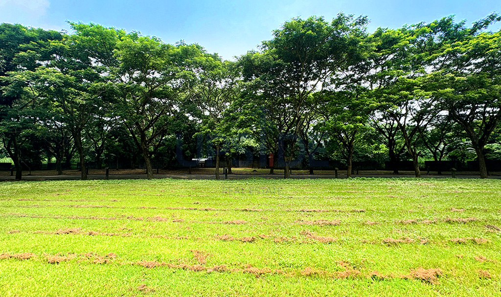 Elaro Nuvali Aviary Estates Lot For Sale