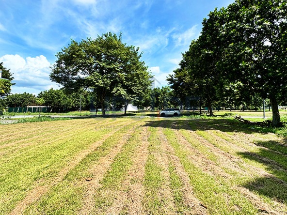 Treveia Nuvali Lot For Sale Near the Main Clubhouse