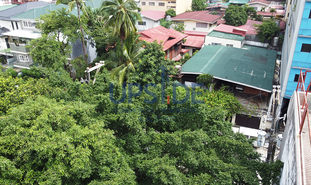 Quezon City Commercial Lot For Sale