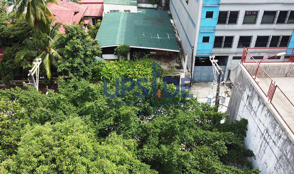 Quezon City Commercial Lot For Sale