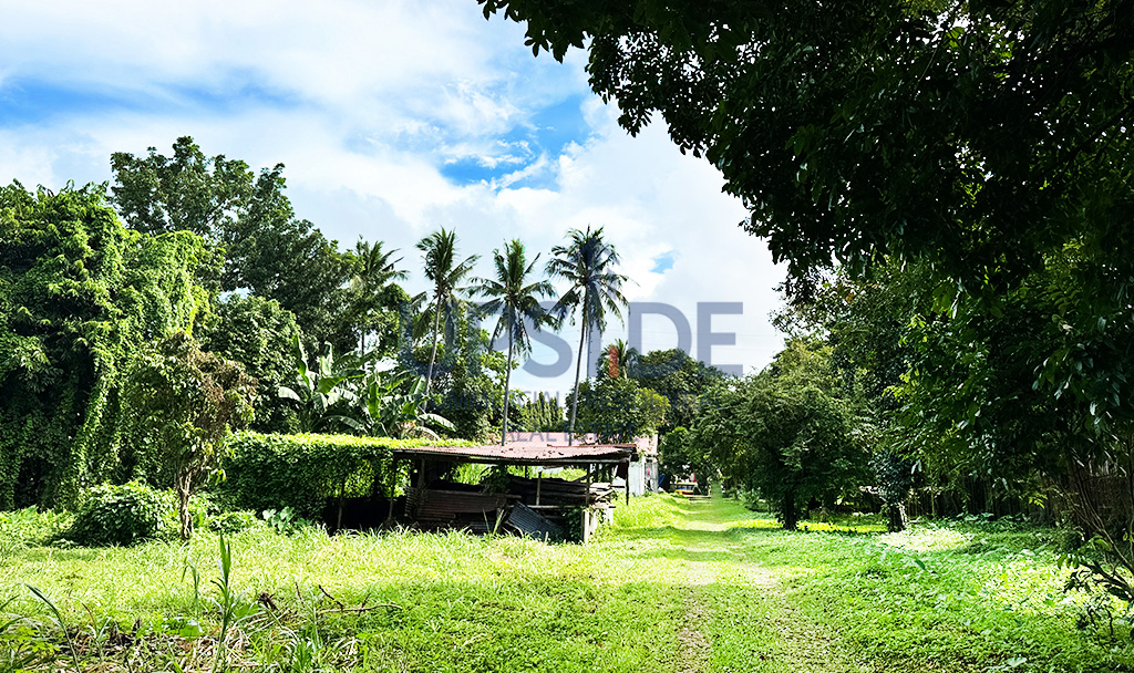 Malvar Batangas Commercial Lot for Sale