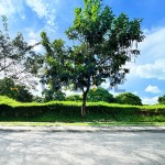 Ayala Westgrove Heights Lot for Sale Beside the Park