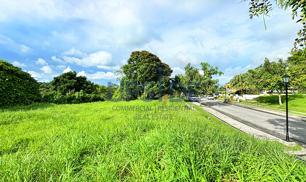 Ayala Westgrove Heights Lot for Sale Beside the Park