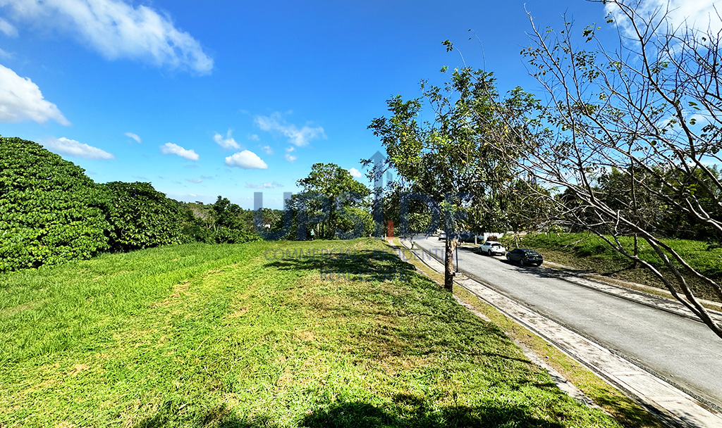 Ayala Westgrove Heights Lot for Sale Beside the Park