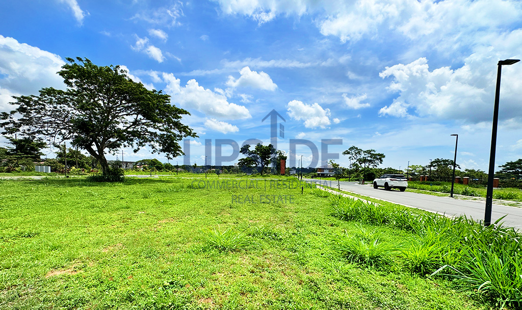 Rockwell South at Carmelray Facing East Lots for Sale