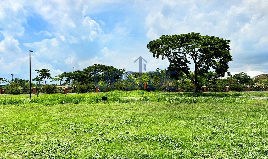 Rockwell South at Carmelray Facing East Lots for Sale