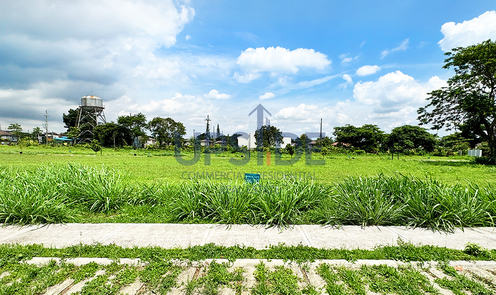 Rockwell South at Carmelray Facing East Lots for Sale
