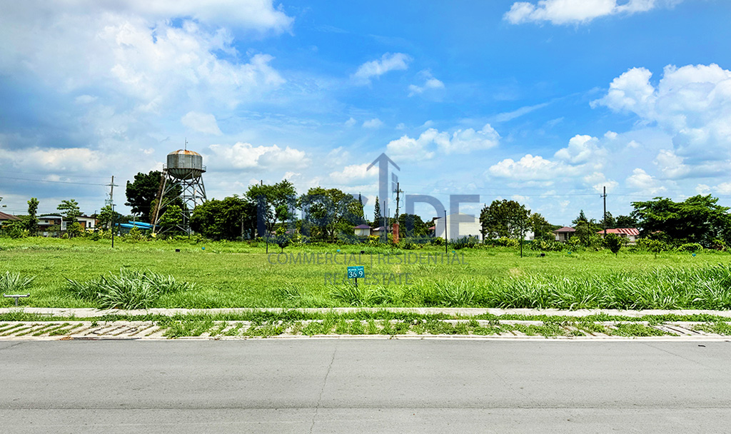 Rockwell South at Carmelray Facing East Lots for Sale