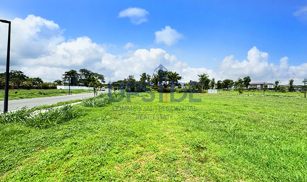 Rockwell South at Carmelray Facing East Lots for Sale