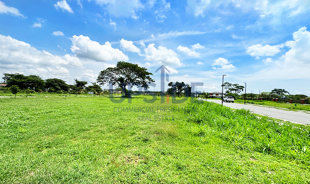 Rockwell South at Carmelray Facing East Lots for Sale