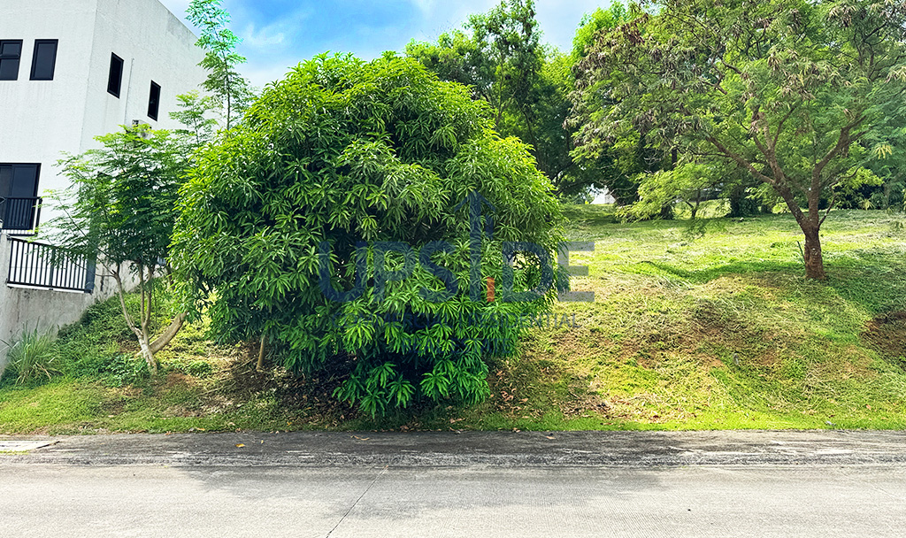 Ayala Greenfield Estates Lot for Sale with a view