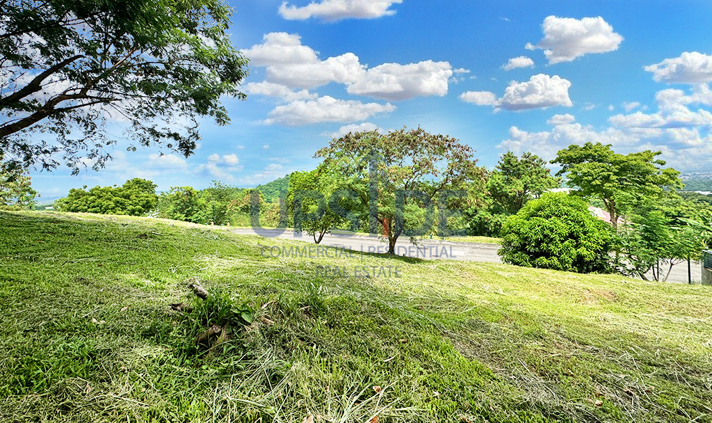 Ayala Greenfield Estates Lot for Sale with a view