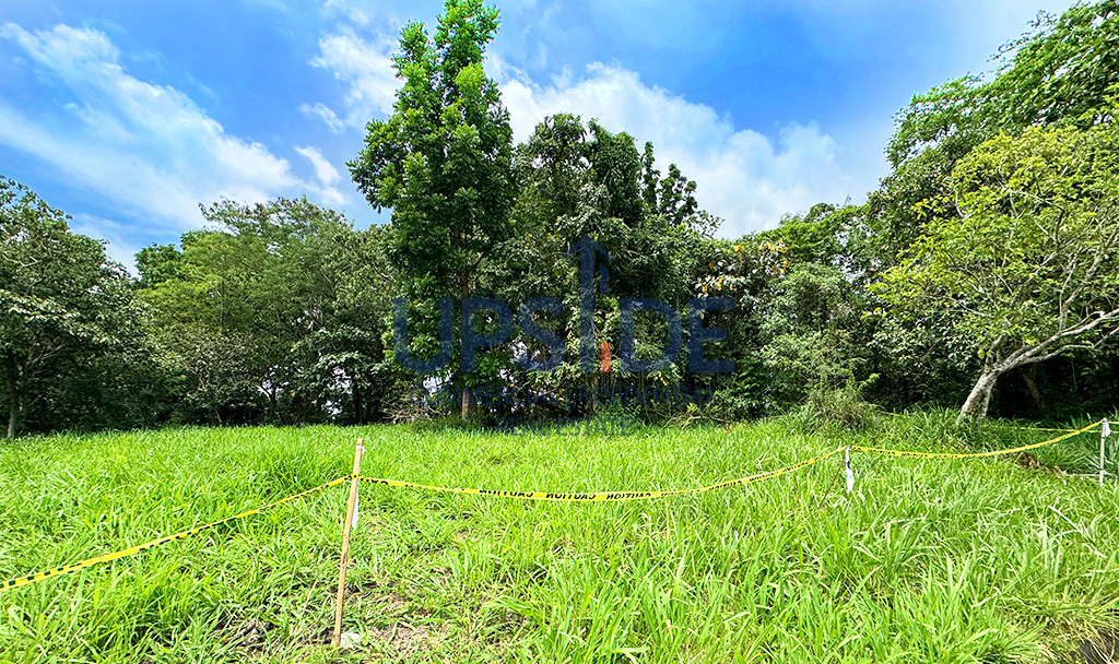 Monte Cecilia Fairway Lot for Sale