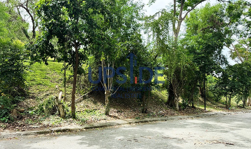 Rush Sale Ayala Greenfield Estates Lot for Sale