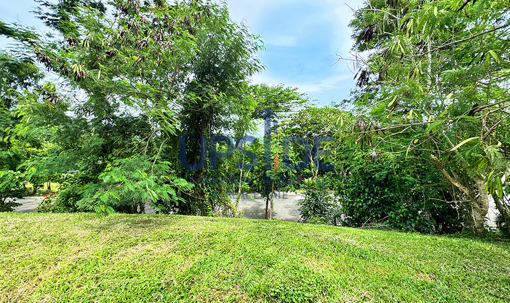 Rush Sale Ayala Greenfield Estates Lot for Sale