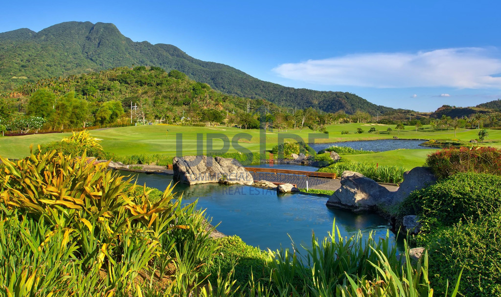 Rush Sale Ayala Greenfield Estates Lot for Sale