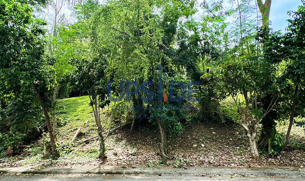Rush Sale Ayala Greenfield Estates Lot for Sale