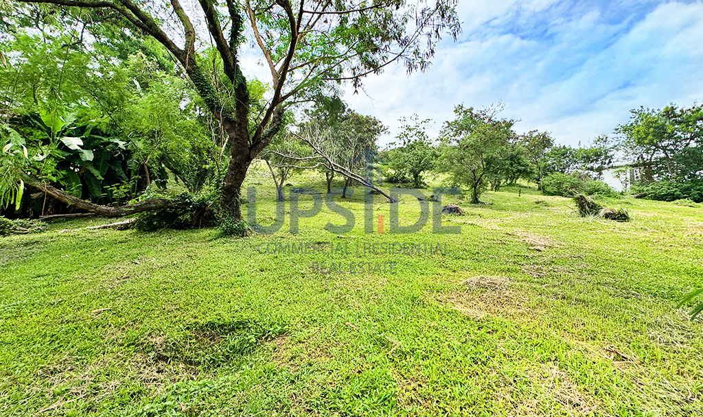 Rush Sale Ayala Greenfield Estates Lot for Sale