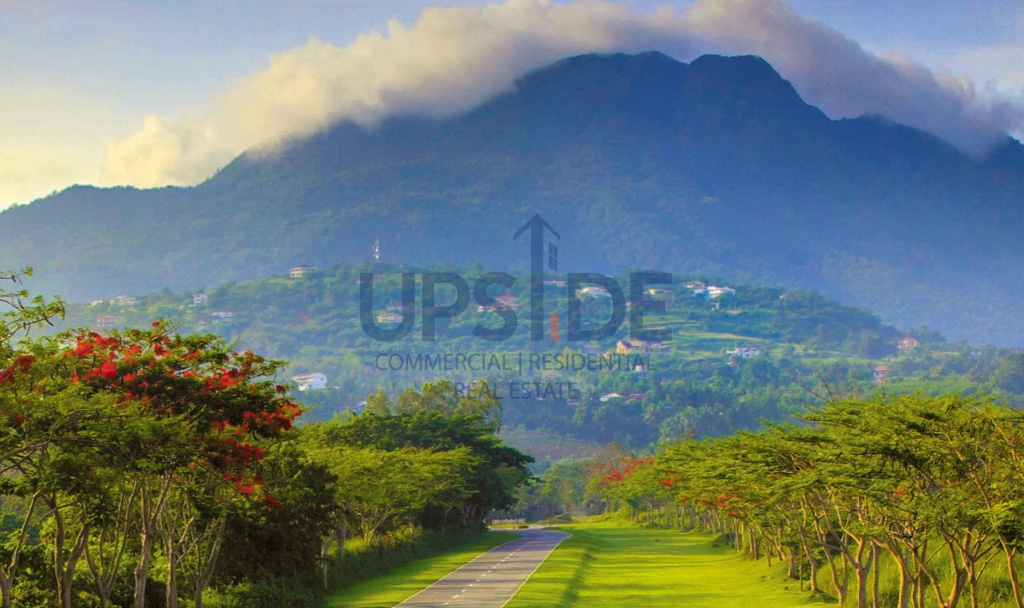 Rush Sale Ayala Greenfield Estates Lot for Sale