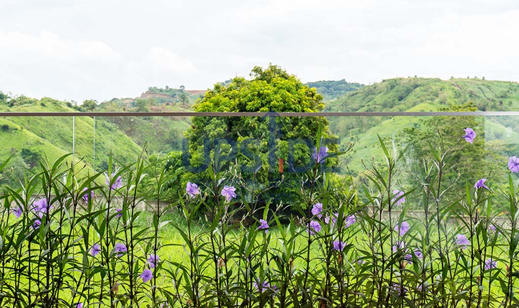 Sun Valley Estates Antipolo Modern Tropical Resort Home For Sale