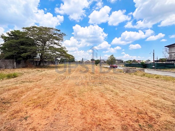 Alabang West Lot For Sale 350 sqm