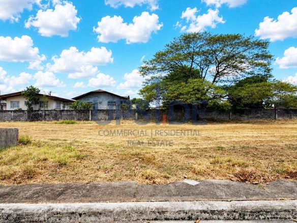 Alabang West Lot For Sale 352 sqm