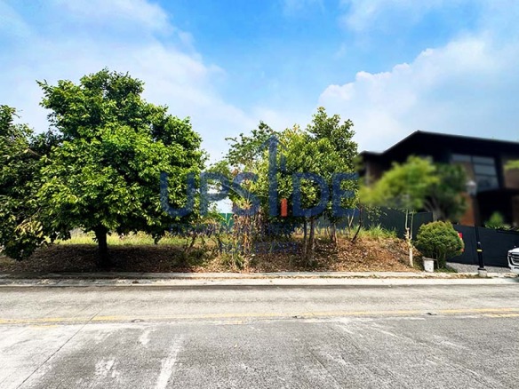 Ayala Westgrove Heights Lot For Sale Along Acacia