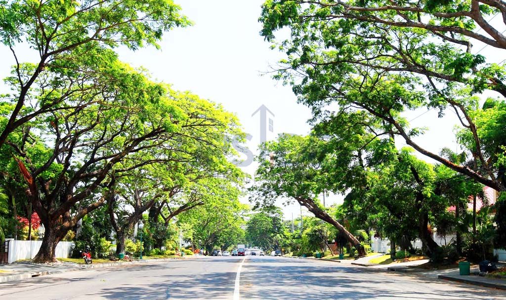 725 sqm Ayala Alabang Village Lot For Sale — ₱160M — Ayala Corporation, Alabang Muntinlupa