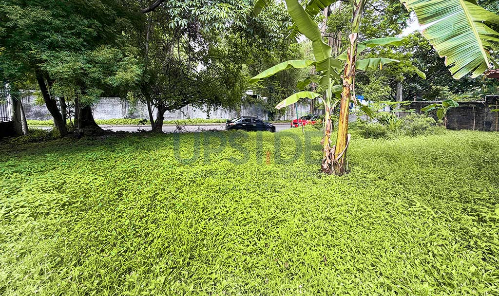 725 sqm Ayala Alabang Village Lot For Sale — ₱160M — Ayala Corporation, Alabang Muntinlupa