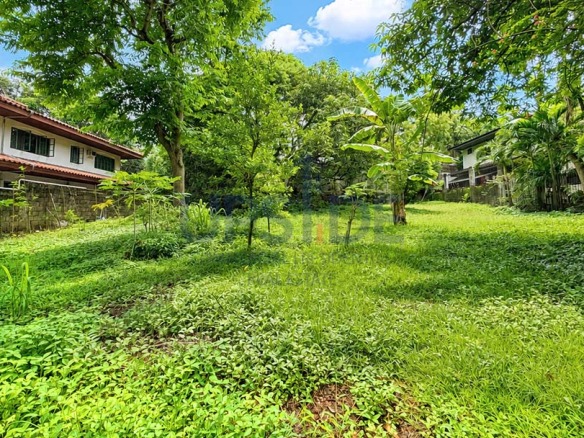 725 sqm Ayala Alabang Village Lot For Sale — ₱160M — Ayala Corporation, Alabang Muntinlupa