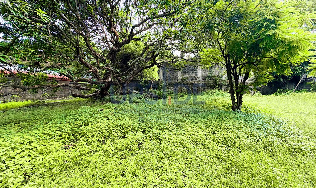 725 sqm Ayala Alabang Village Lot For Sale — ₱160M — Ayala Corporation, Alabang Muntinlupa