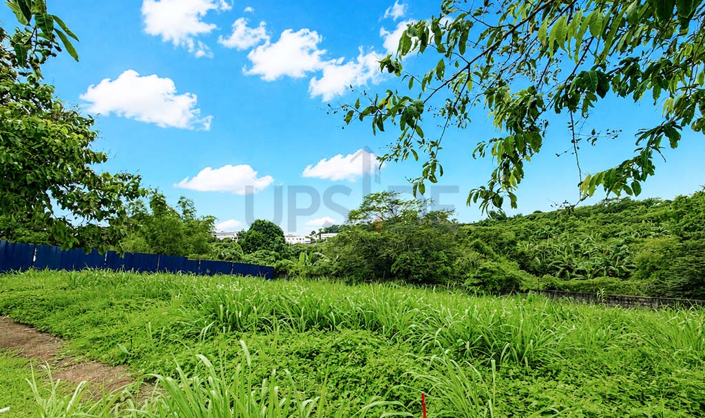 240sqm Pahara Southwoods Lot For Sale — ₱6.480M — Megaworld Corporation, Carmona, Cavite