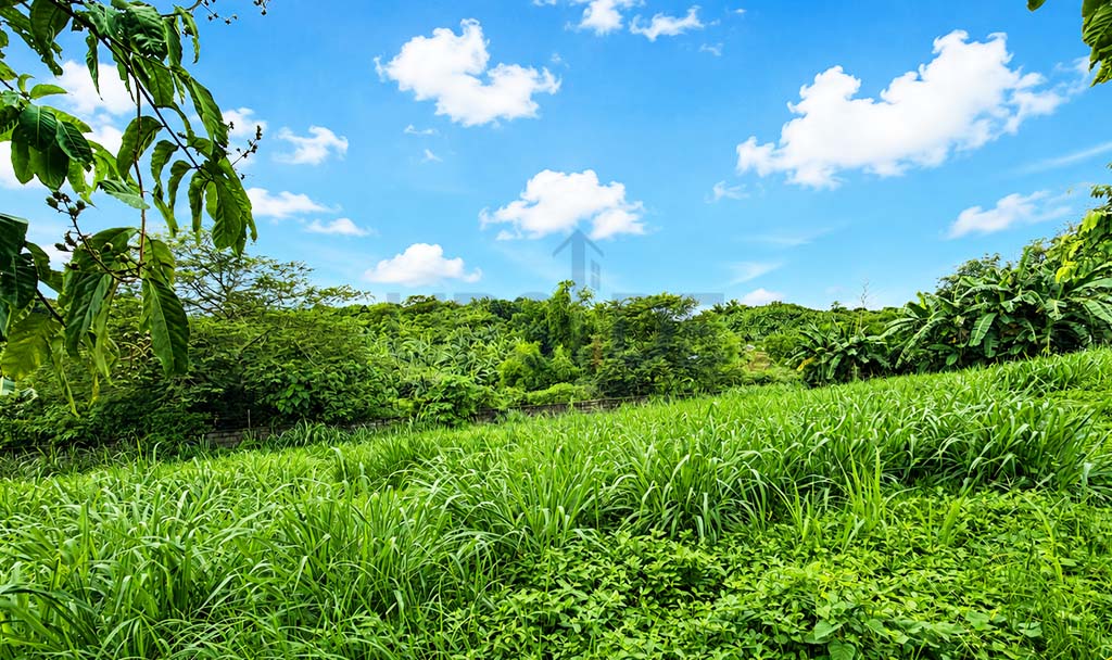 240sqm Pahara Southwoods Lot For Sale — ₱6.480M — Megaworld Corporation, Carmona, Cavite