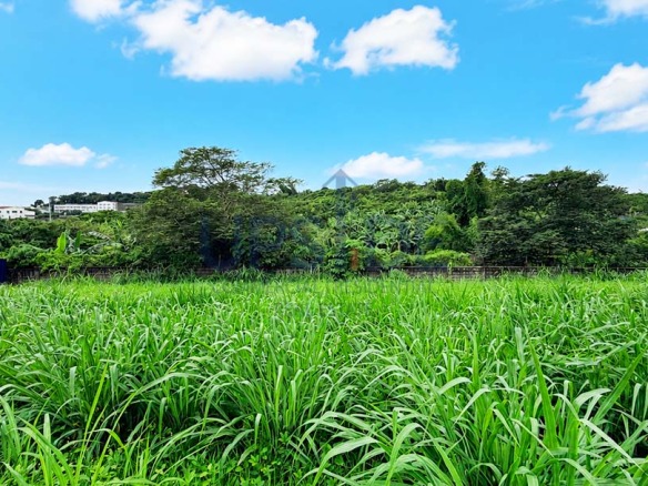 240sqm Pahara Southwoods Lot For Sale — ₱6.480M — Megaworld Corporation, Carmona, Cavite