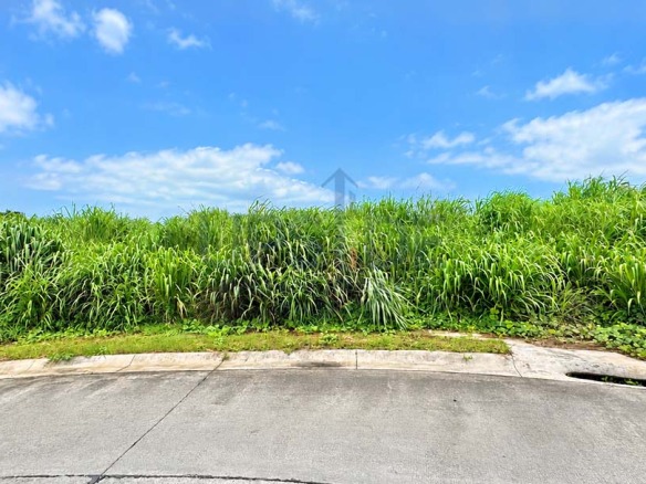 236 sqm Averdeen Estates Nuvali Lot For Sale — Call For Pricing — Avida Land Corp, Calamba, Laguna